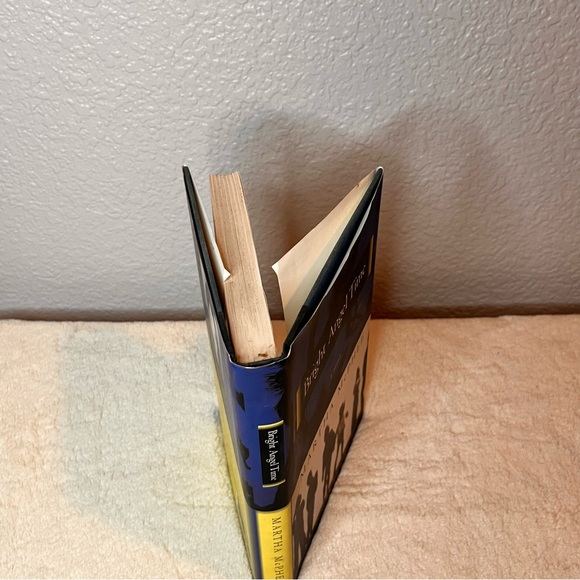 Bright Angel Time by Martha McPhee (1997, Hardcover) - Picture 3 of 11